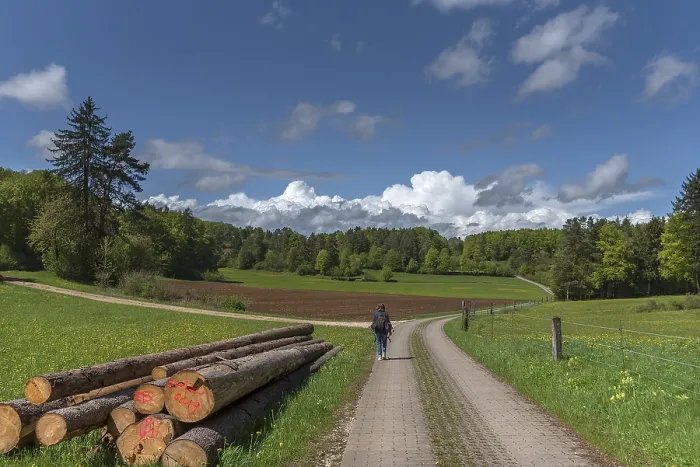 Gerahmter Druck : Fränkisches Frühlingslandschaft mit Wanderer. Gerahmter Druck : Fränkisches Frühlingslandschaft mit Wanderer.