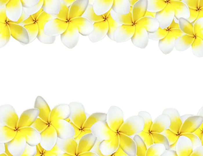 Gerahmter Druck : Frangipani-Hintergrund mit Kopspace Gerahmter Druck : Frangipani-Hintergrund mit Kopspace