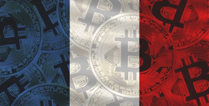 Gerahmter Druck : Französische Flagge mit Bitcoins im Hintergrund. Gerahmter Druck : Französische Flagge mit Bitcoins im Hintergrund.