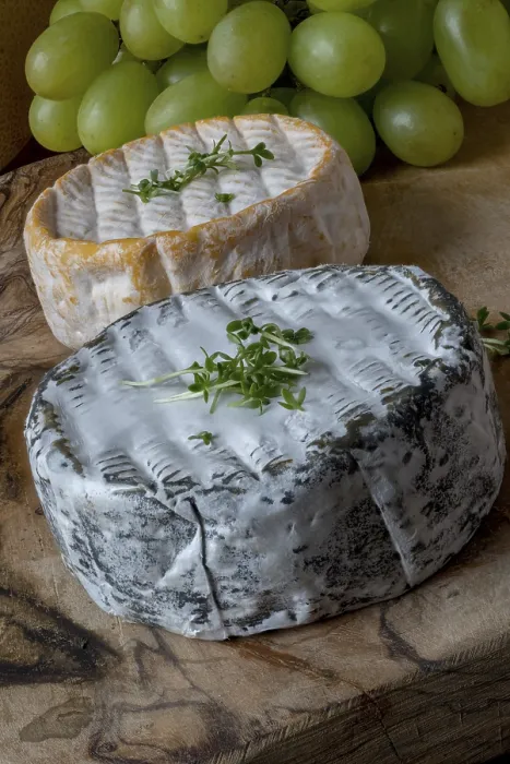 Gerahmter Druck : Französischer weicher Käse und Trauben. Gerahmter Druck : Französischer weicher Käse und Trauben.
