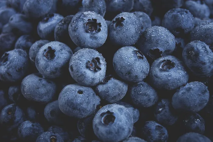 Gerahmter Druck : Frische Blaubeeren, Vollformat, auf dem Tisch. Gerahmter Druck : Frische Blaubeeren, Vollformat, auf dem Tisch.