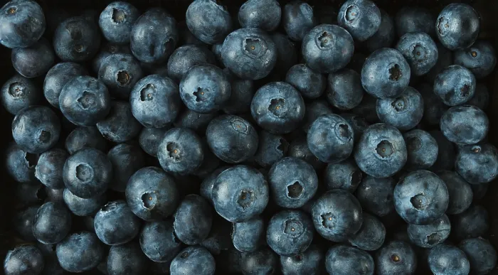 Gerahmter Druck : Frischer Blaubeer-Hintergrund, Oberansicht. Gerahmter Druck : Frischer Blaubeer-Hintergrund, Oberansicht.
