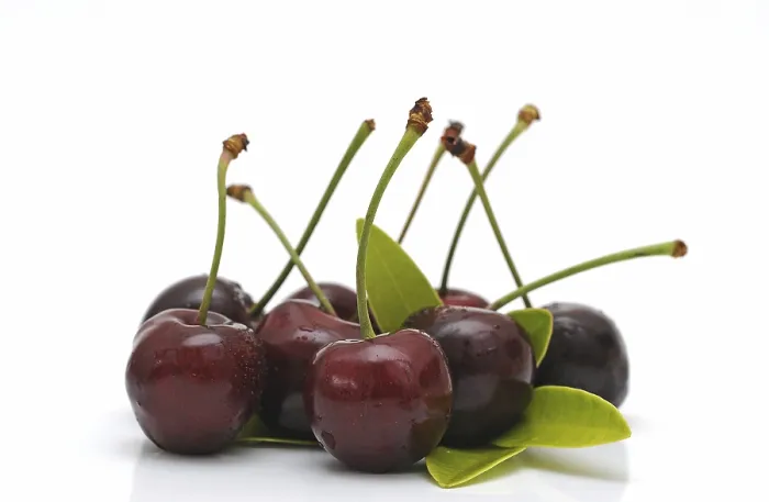 Gerahmter Druck : Frische Kirschen Gerahmter Druck : Frische Kirschen