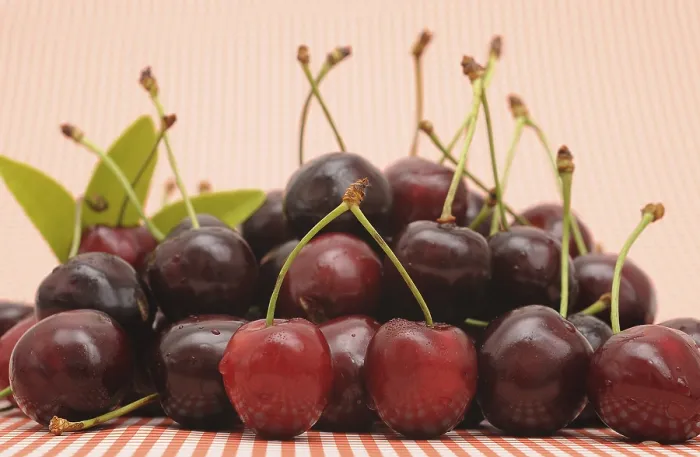 Gerahmter Druck : Frische Kirschen Gerahmter Druck : Frische Kirschen