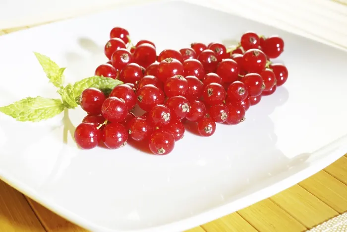 Gerahmter Druck : Frische Johannisbeeren, Minze. Gerahmter Druck : Frische Johannisbeeren, Minze.