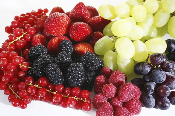 Gerahmter Druck : Fruchtgemisch Gerahmter Druck : Fruchtgemisch