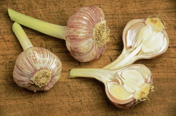 Gerahmter Druck : Frischer Knoblauch Gerahmter Druck : Frischer Knoblauch