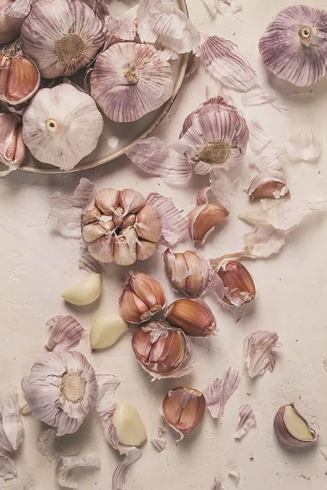 Gerahmter Druck : Frischer Knoblauch auf einem weißen Hintergrund. Gerahmter Druck : Frischer Knoblauch auf einem weißen Hintergrund.