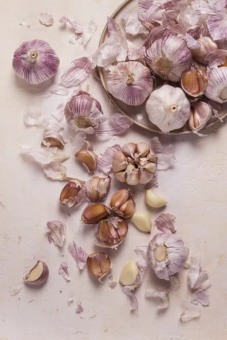 Gerahmter Druck : Frischer Knoblauch auf einem weißen Hintergrund. Gerahmter Druck : Frischer Knoblauch auf einem weißen Hintergrund.