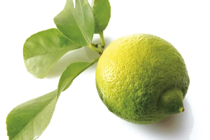 Gerahmter Druck : Frischer Zitronensaft mit Blättern. Gerahmter Druck : Frischer Zitronensaft mit Blättern.