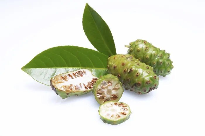 Gerahmter Druck : Frucht von der Noni Gerahmter Druck : Frucht von der Noni