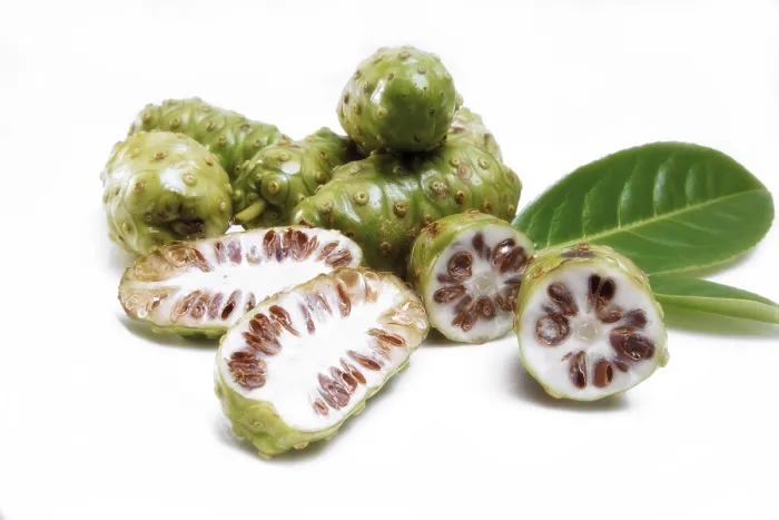 Gerahmter Druck : Frische Noni Frucht Gerahmter Druck : Frische Noni Frucht