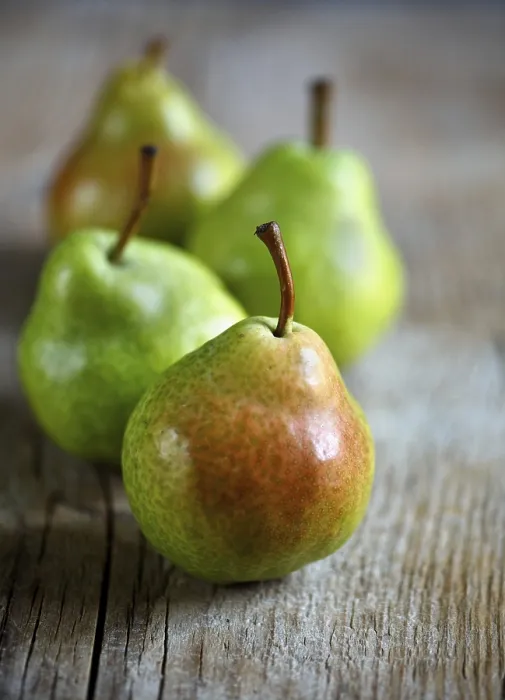 Gerahmter Druck : Frische Birnen Gerahmter Druck : Frische Birnen