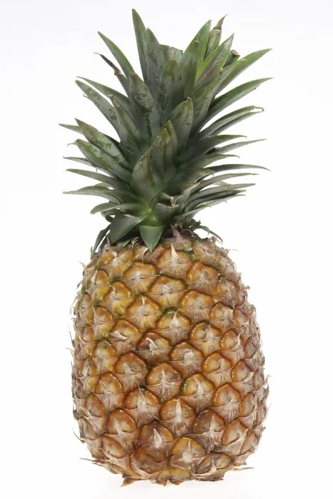 Gerahmter Druck : Fruchtiger Anblick: Eine frische Ananas Gerahmter Druck : Fruchtiger Anblick: Eine frische Ananas