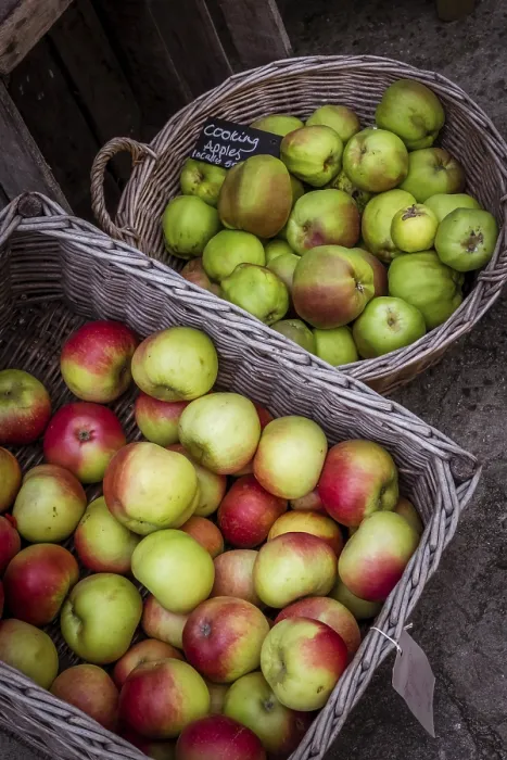 Gerahmter Druck : Frisches Rot Gelb Gerahmter Druck : Frisches Rot Gelb