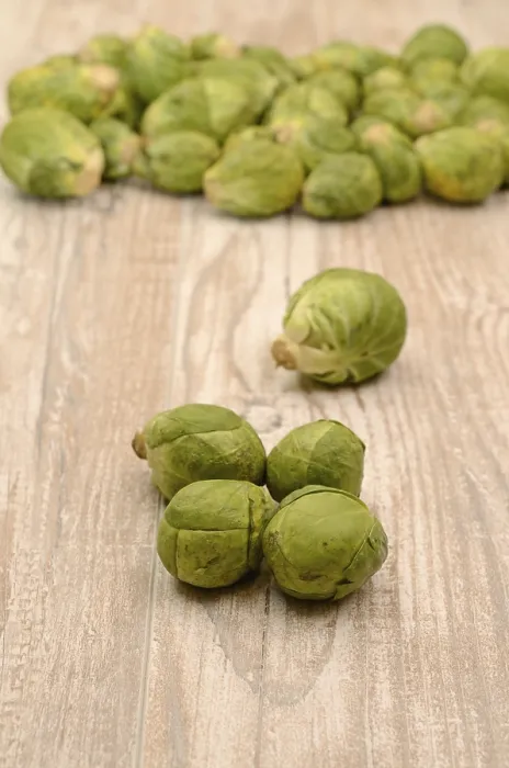 Gerahmter Druck : Frische Sprösslinge auf einem rustikalen Holztisch. Gerahmter Druck : Frische Sprösslinge auf einem rustikalen Holztisch.