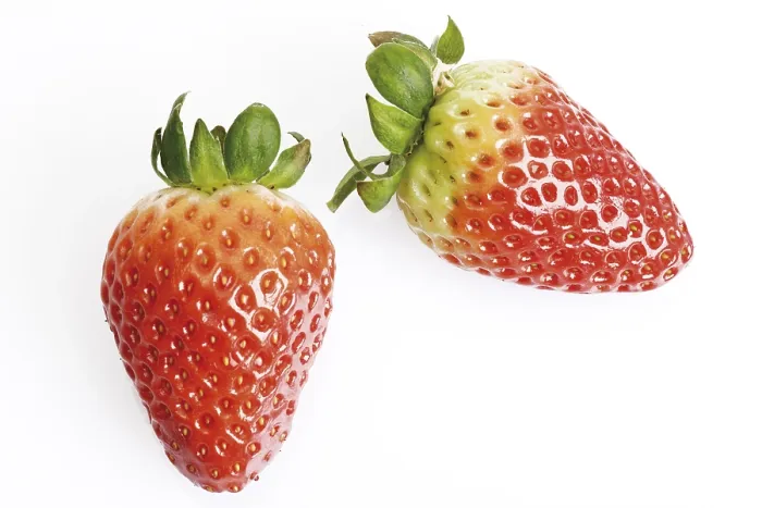 Gerahmter Druck : Frische Erdbeeren. Gerahmter Druck : Frische Erdbeeren.