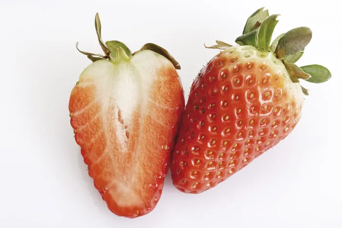 Gerahmter Druck : Frische Erdbeeren Gerahmter Druck : Frische Erdbeeren