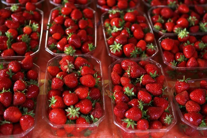 Gerahmter Druck : Frische Erdbeeren. Gerahmter Druck : Frische Erdbeeren.