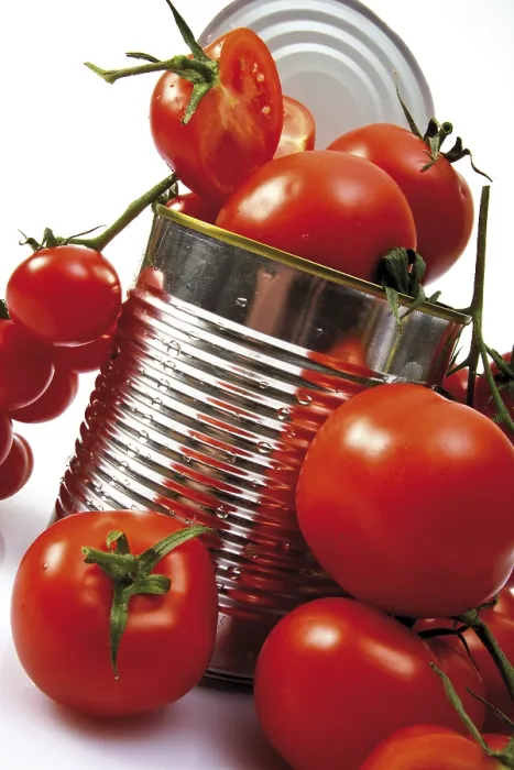 Gerahmter Druck : Dose mit frischen Tomaten. Gerahmter Druck : Dose mit frischen Tomaten.