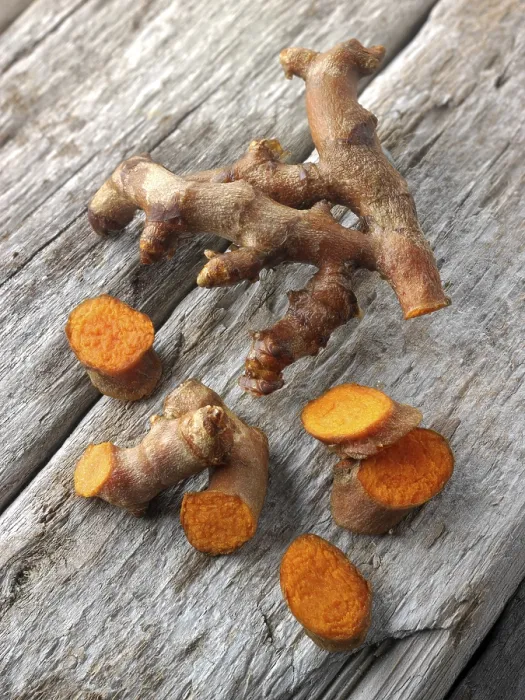 Gerahmter Druck : Frischer Ingwer oder Kurkumawurzel (Curcuma longa)