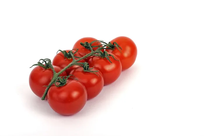 Gerahmter Druck : Frische Weintraubentomaten (Solanum) Gerahmter Druck : Frische Weintraubentomaten (Solanum)