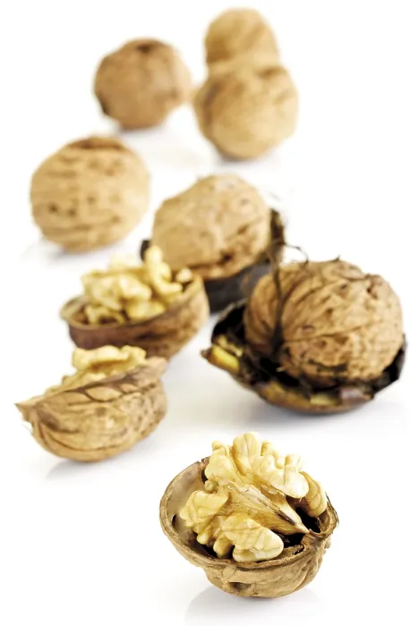 Gerahmter Druck : Frische Walnüsse Gerahmter Druck : Frische Walnüsse