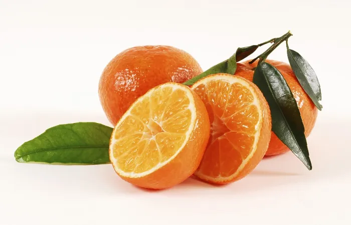 Gerahmter Druck : Frisch gepflückte Mandarine Gerahmter Druck : Frisch gepflückte Mandarine