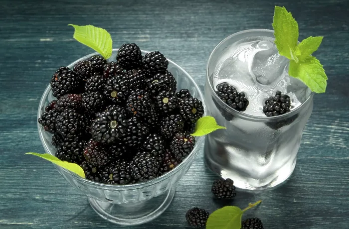 Gerahmter Druck : Frische Brombeere Gerahmter Druck : Frische Brombeere