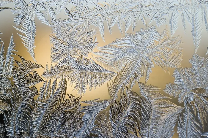 Gerahmter Druck : Frostblumen auf Fenster Gerahmter Druck : Frostblumen auf Fenster