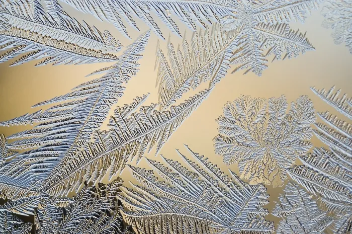 Gerahmter Druck : Frostblumen am Fenster.