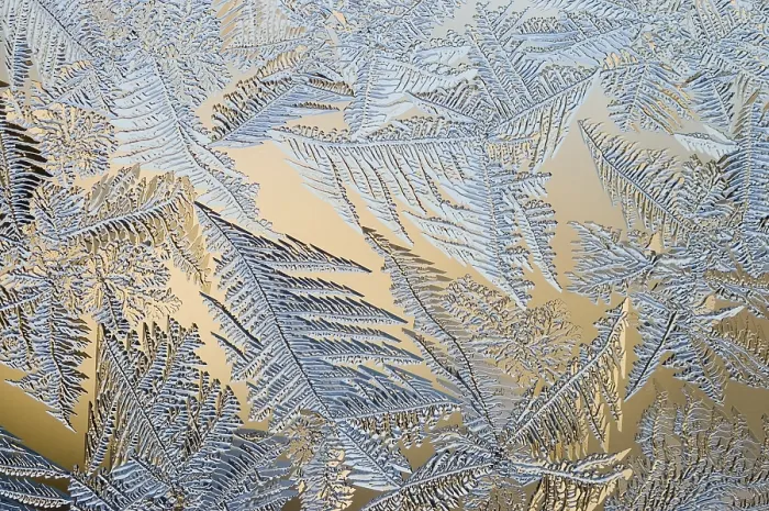Gerahmter Druck : Frostblumen am Fenster. Gerahmter Druck : Frostblumen am Fenster.