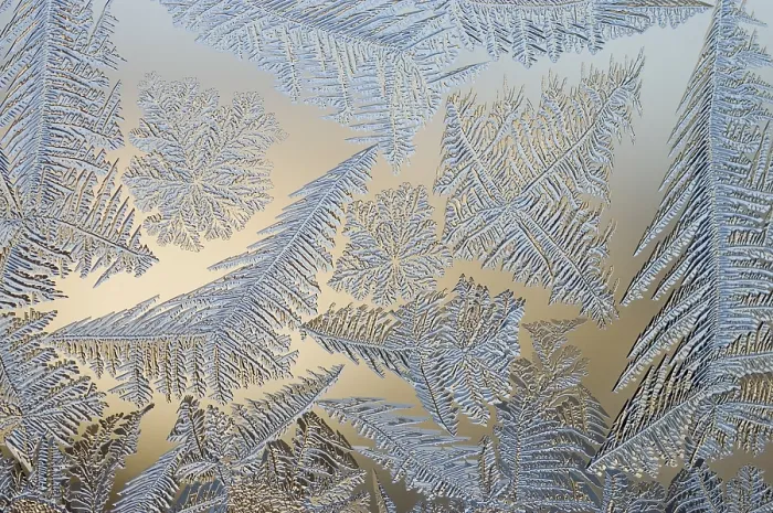 Gerahmter Druck : Frostblumen am Fenster. Gerahmter Druck : Frostblumen am Fenster.