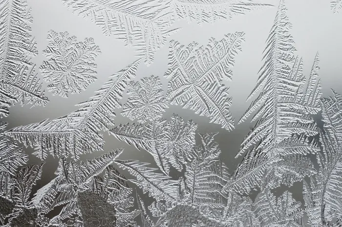 Gerahmter Druck : Frostblumen am Fenster. Gerahmter Druck : Frostblumen am Fenster.