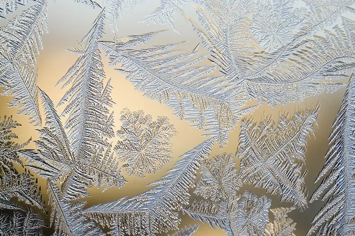 Gerahmter Druck : Frostblumen am Fenster. Gerahmter Druck : Frostblumen am Fenster.