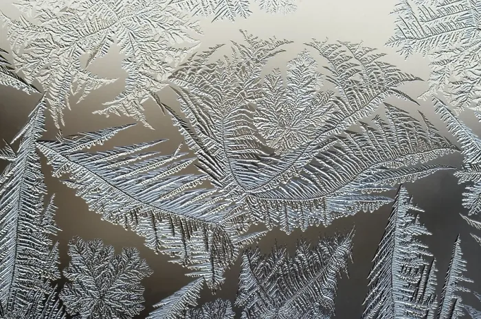 Gerahmter Druck : Frostblumen am Fenster. Gerahmter Druck : Frostblumen am Fenster.