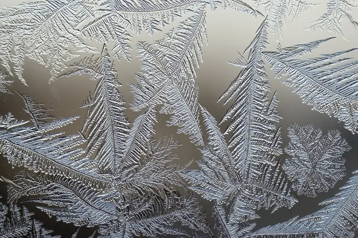 Gerahmter Druck : Frostblumen am Fenster. Gerahmter Druck : Frostblumen am Fenster.