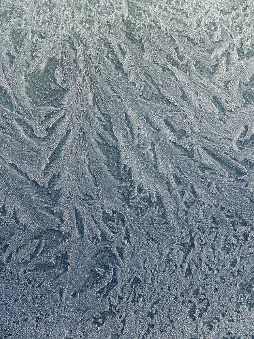 Gerahmter Druck : Frostmuster, Eiskräutchen, Eiswürfel. Gerahmter Druck : Frostmuster, Eiskräutchen, Eiswürfel.