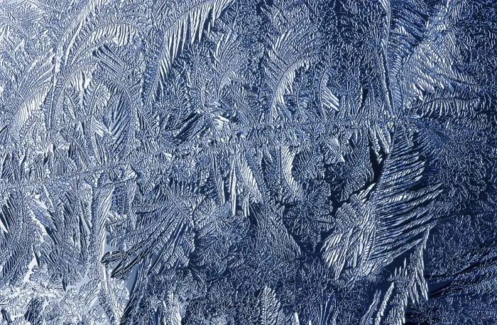 Gerahmter Druck : Frostmuster, Eiskräutchen, Eisblumen Gerahmter Druck : Frostmuster, Eiskräutchen, Eisblumen