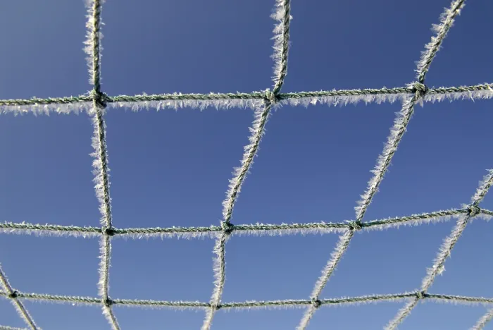 Gerahmter Druck : Frostdurchlässige Netzwerk. Gerahmter Druck : Frostdurchlässige Netzwerk.
