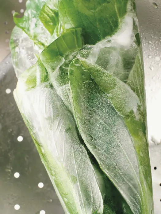 Gerahmter Druck : Frosterter Pak Choi Gerahmter Druck : Frosterter Pak Choi