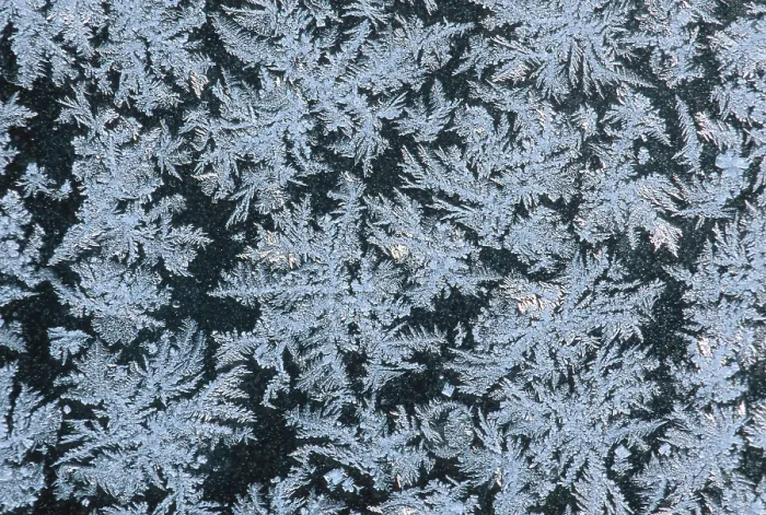 Gerahmter Druck : Frostwerk auf Fenster Gerahmter Druck : Frostwerk auf Fenster