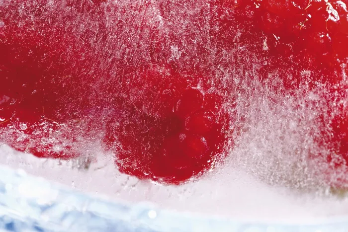 Gerahmter Druck : Erfrorene Himbeeren Gerahmter Druck : Erfrorene Himbeeren