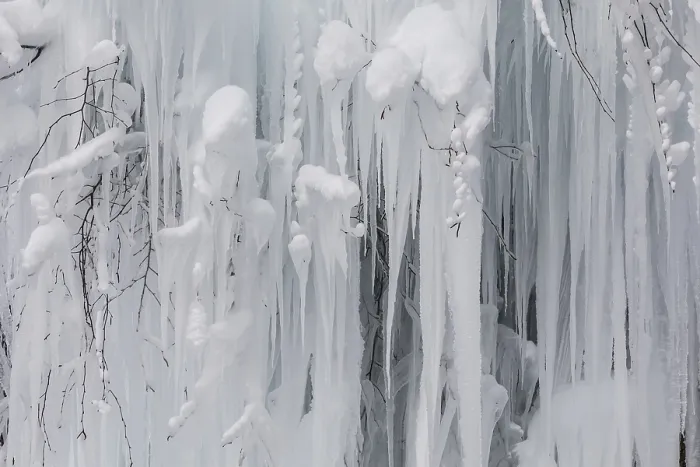 Gerahmter Druck : Eisgefrorener Baum mit langen Eiszapfen, Detail.