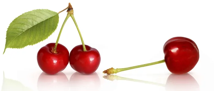 Gerahmter Druck : Frucht 702 Gerahmter Druck : Frucht 702