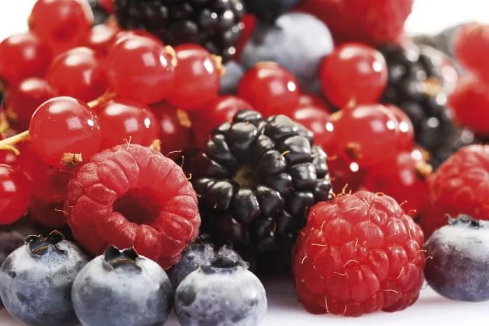 Gerahmter Druck : Beeren des Waldes Gerahmter Druck : Beeren des Waldes