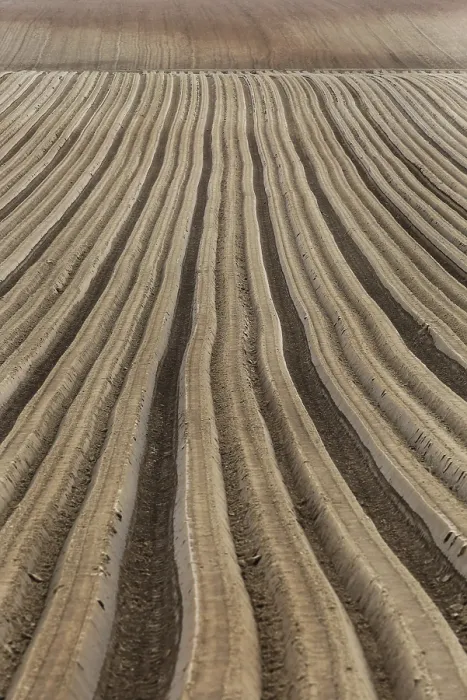 Gerahmter Druck : Furrows Gerahmter Druck : Furrows
