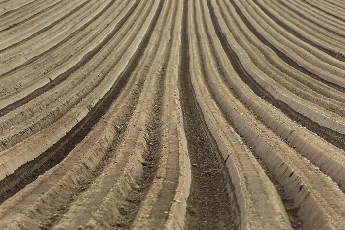 Gerahmter Druck : Furrows Gerahmter Druck : Furrows