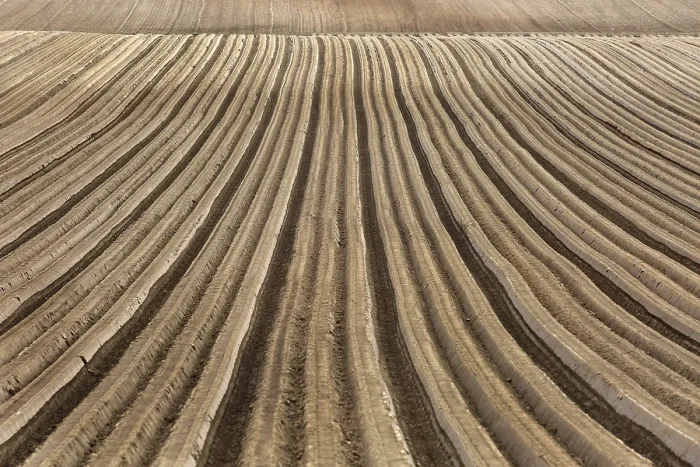 Gerahmter Druck : Furrows Gerahmter Druck : Furrows