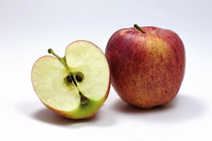 Gerahmter Druck : Apfel Gala Gerahmter Druck : Apfel Gala